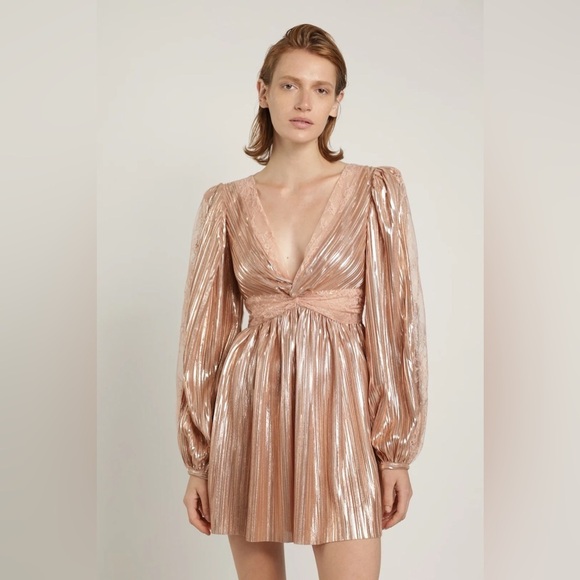 Sabina Musayev Laurel Dress in Rose Gold - Picture 2 of 16